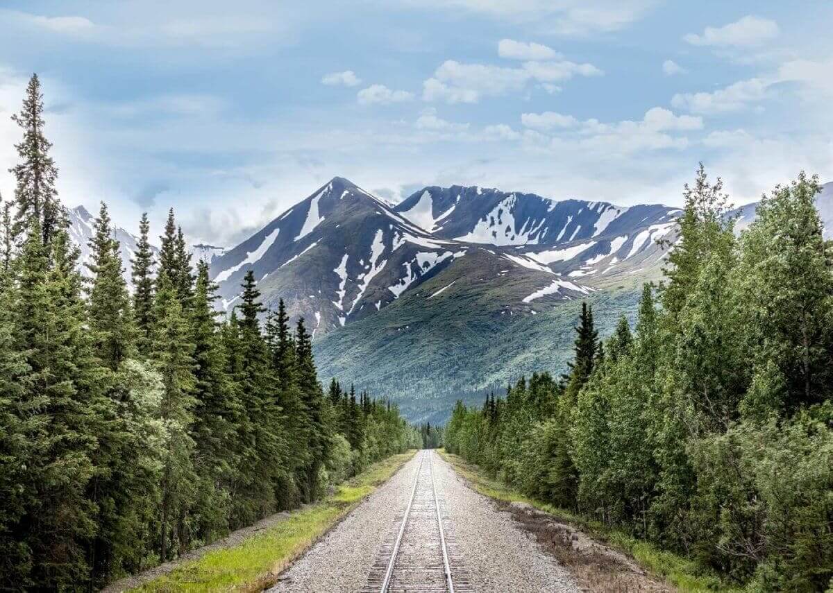 Alaska Wilderness Road
