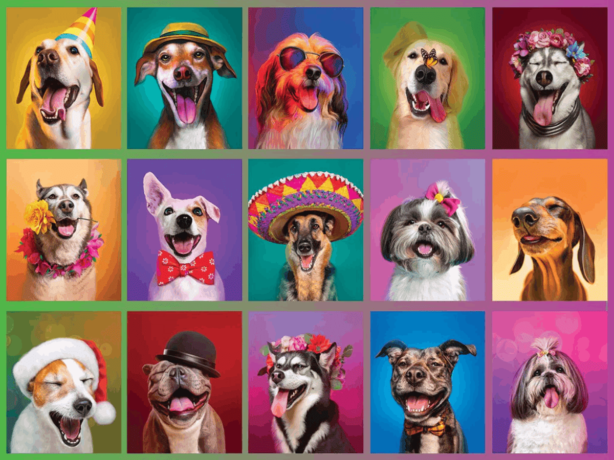 Happy Dogs in Colorful Portraits