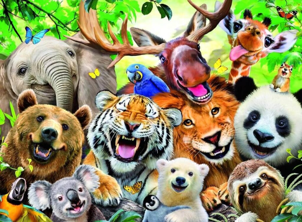 Exotic Animals Selfie