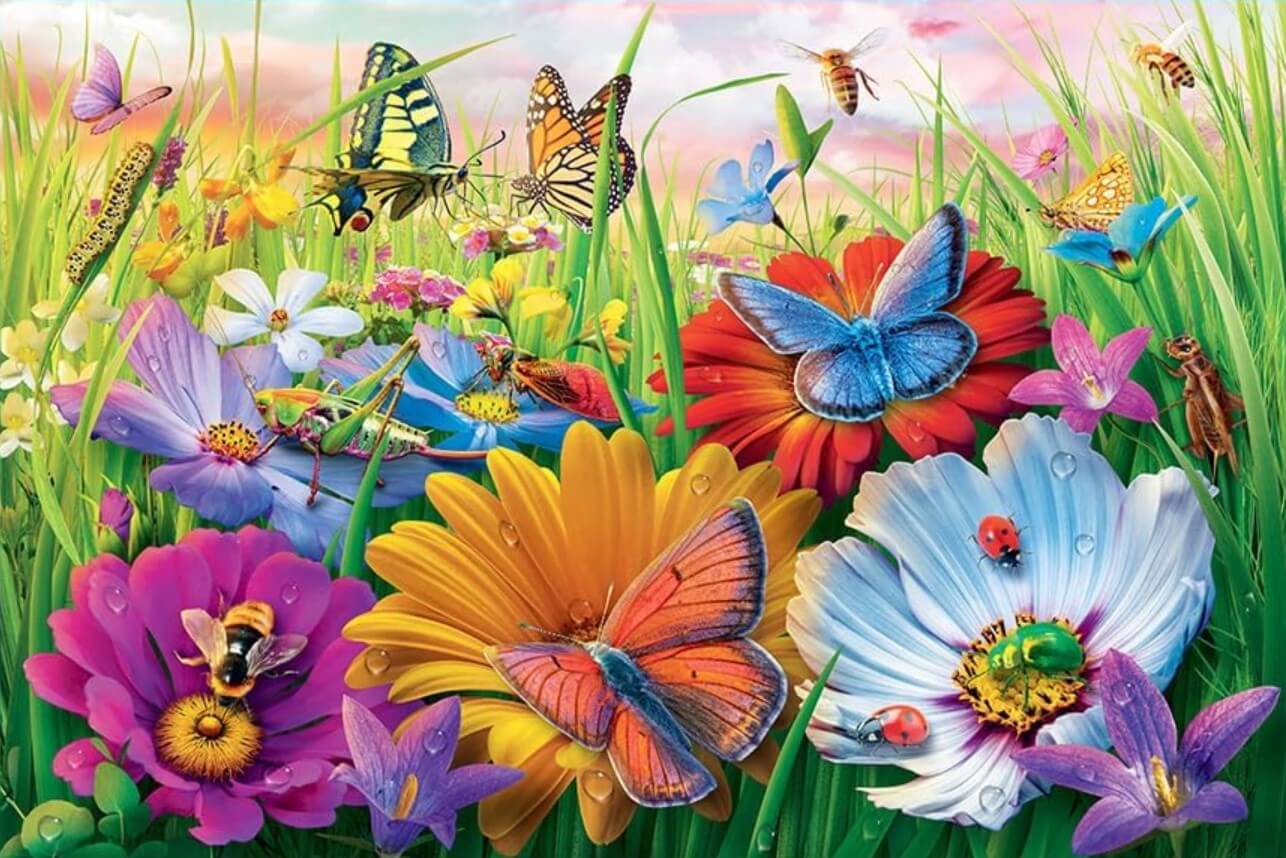 Insects in The Meadow