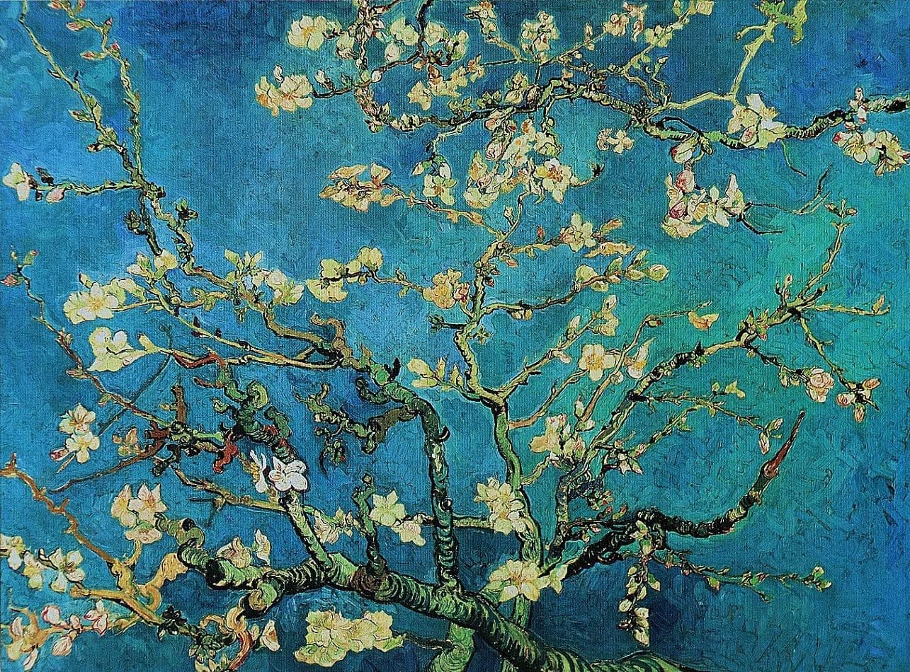 Almond Blossoms