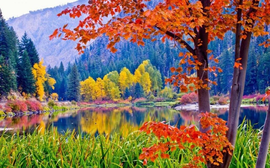 Autumn Reflections by the Mountain Lake