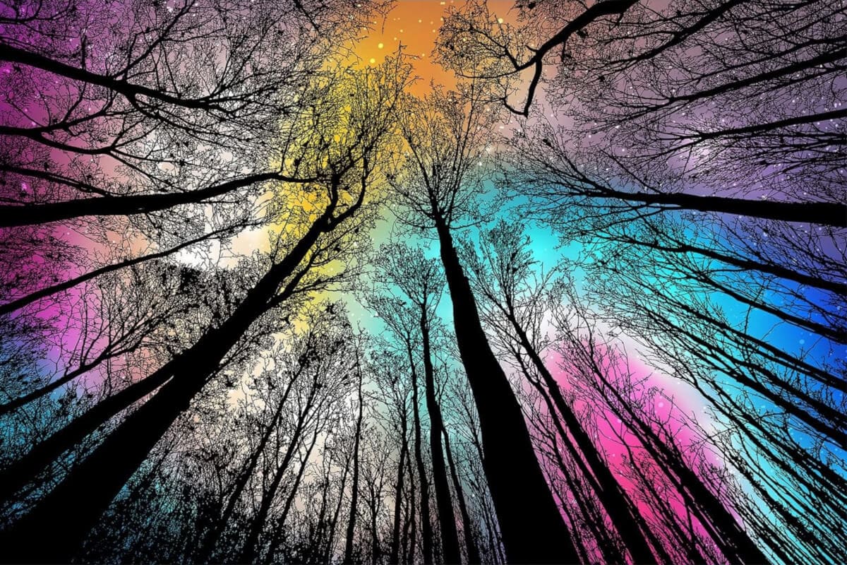 Gradient Magic Color