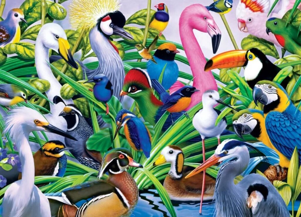 Colorful Companions