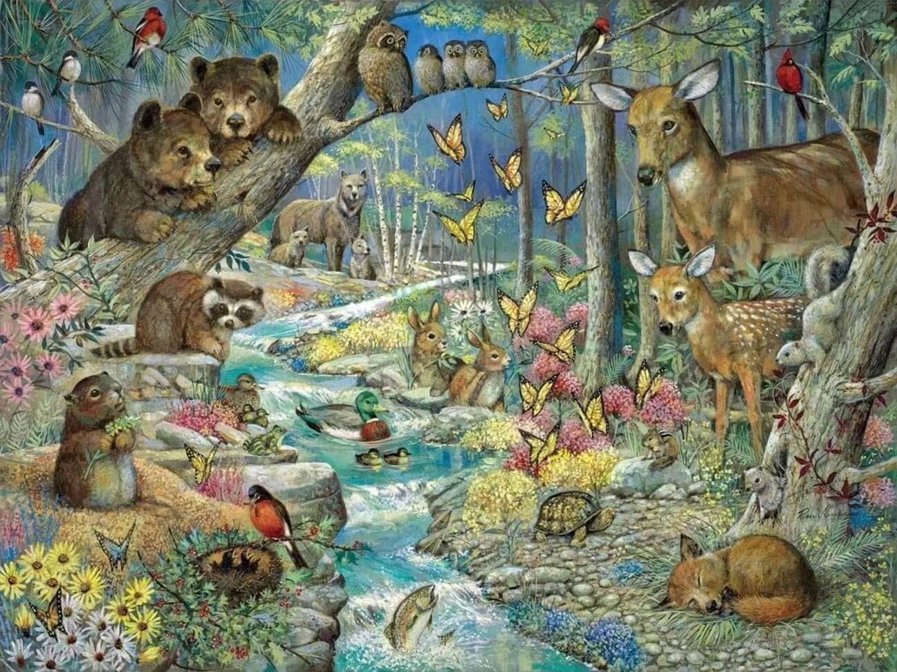 Forest Animals