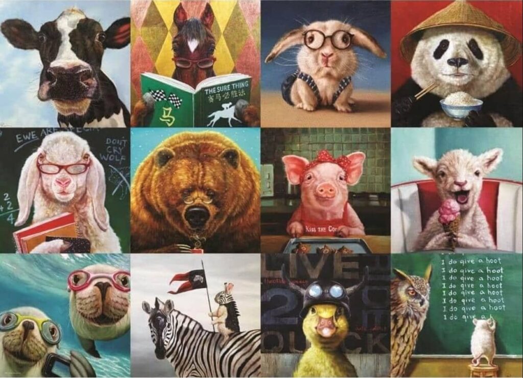 Funny Animals Multicoloured