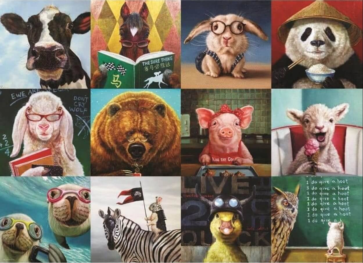 Funny Animals Multicoloured