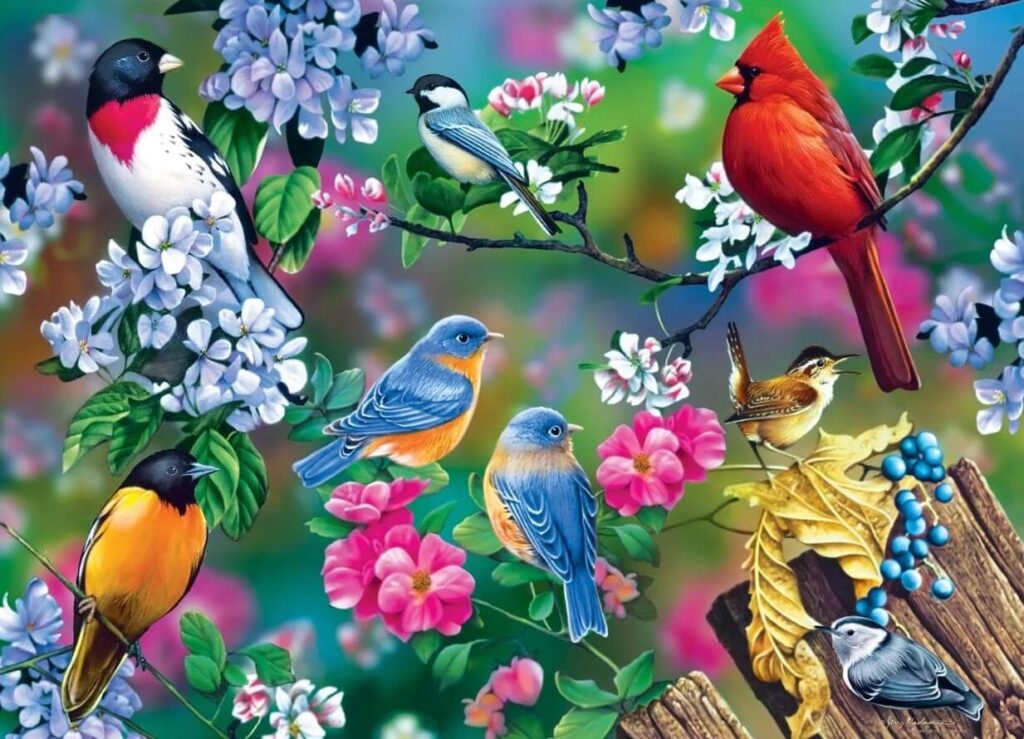 Songbird Collage