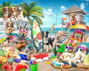 Cool Dogs on The Beach