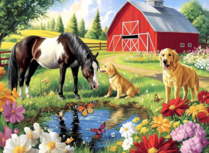 Horse on Farm