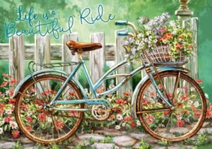Life a Ride