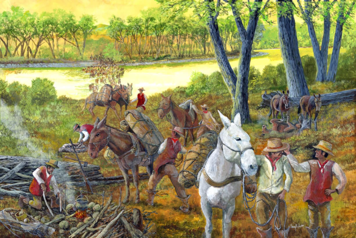 Mules and Horses