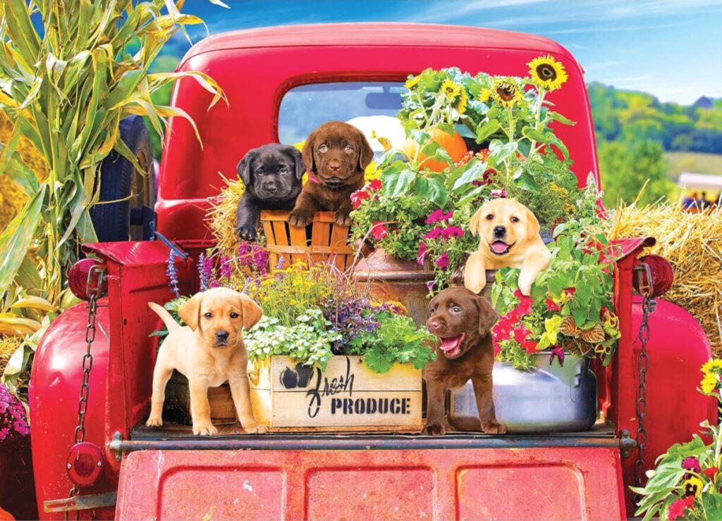 Stowaways