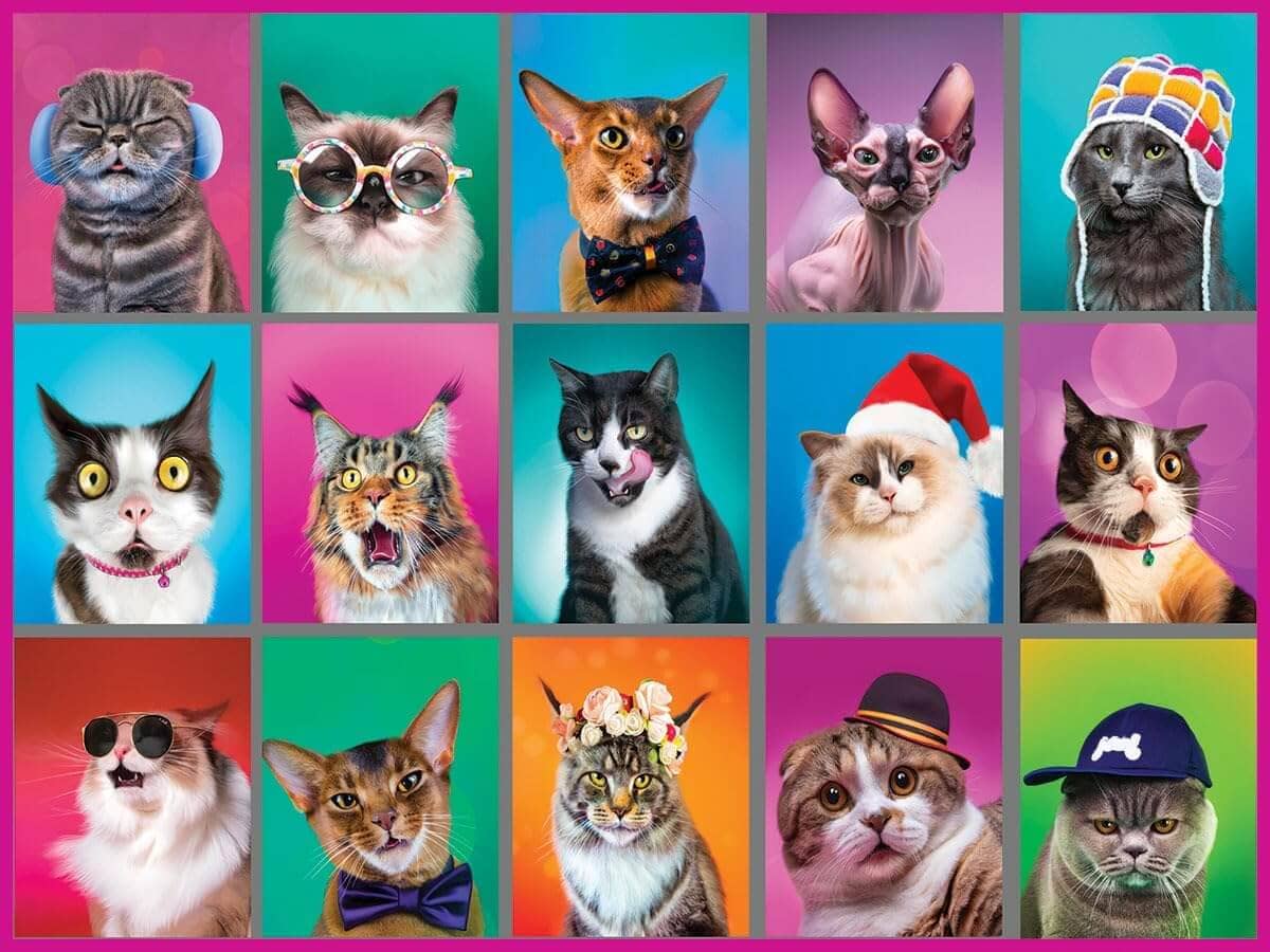 Cat Portraits Collage