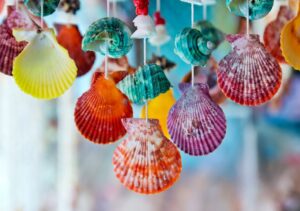 DIY Seashell Craft