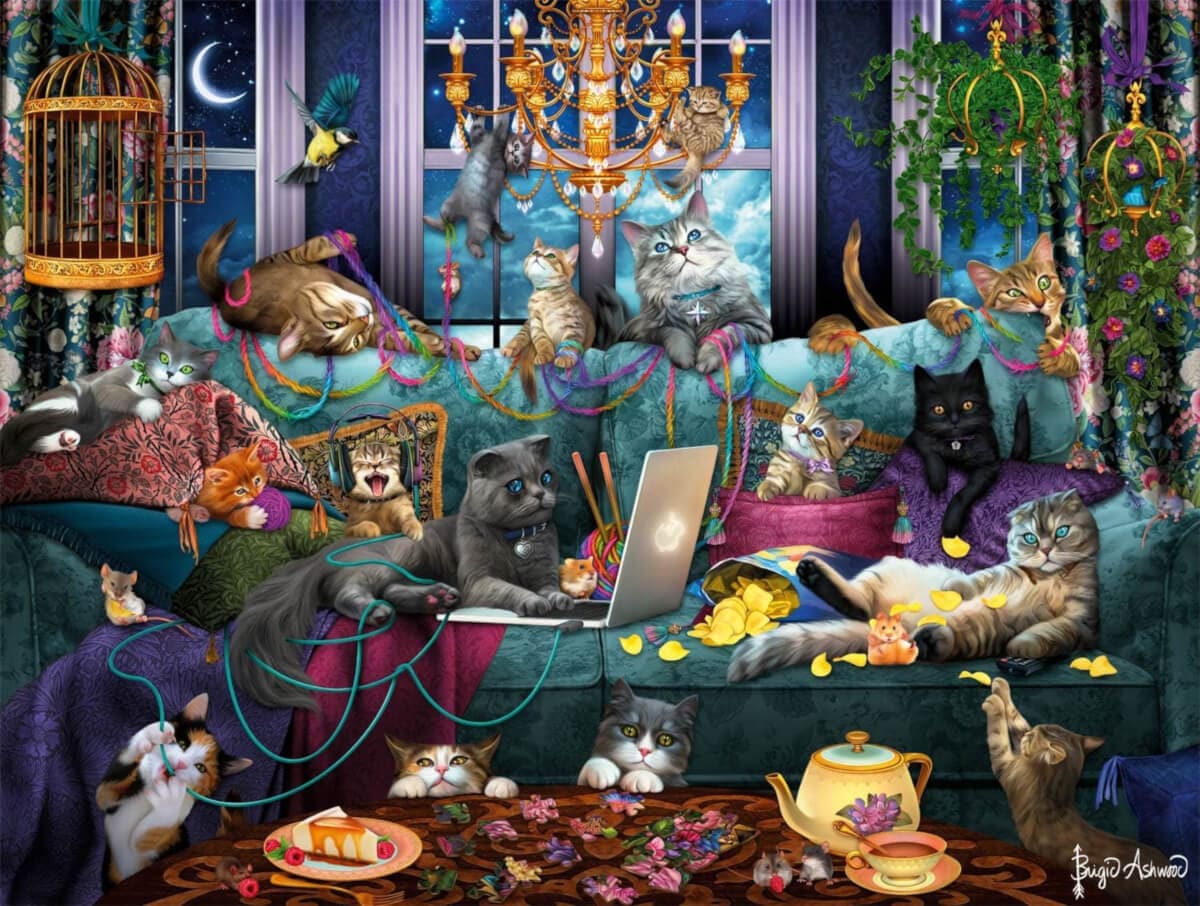 Quarantine Cats
