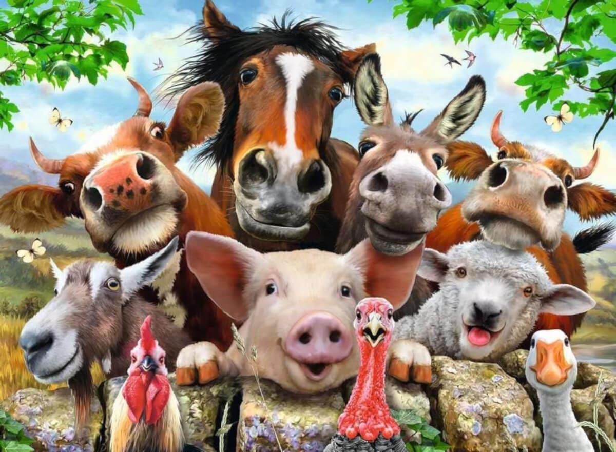 Selfies Domestic Animals