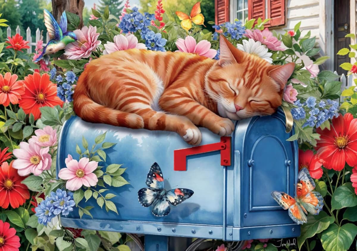 Adorable Cat Relaxing
