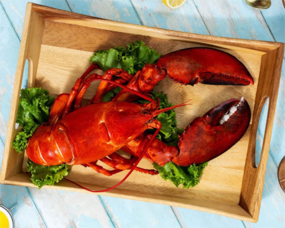 Fresh Lobster for Dinner