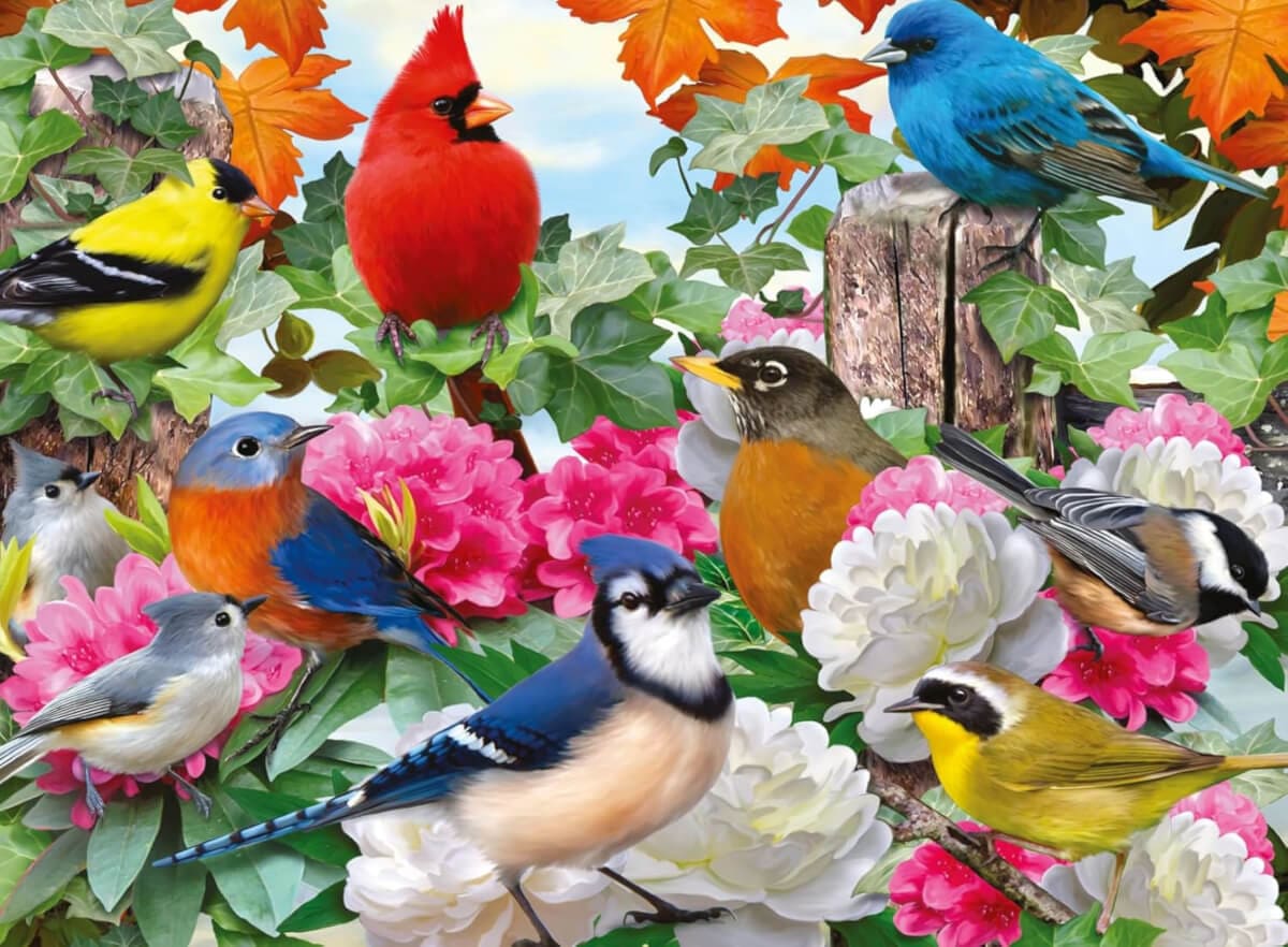 Garden Multicolor Birds