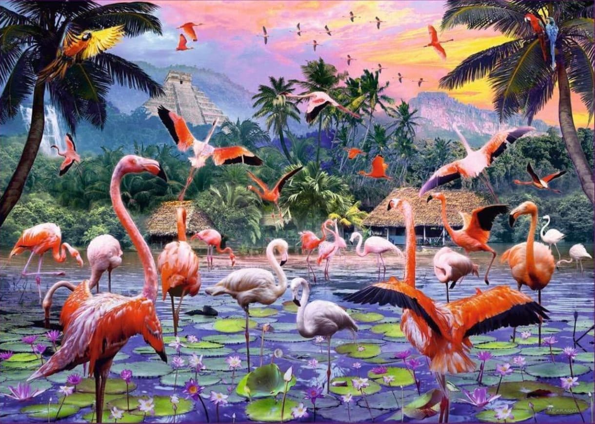 Pink Flamingos