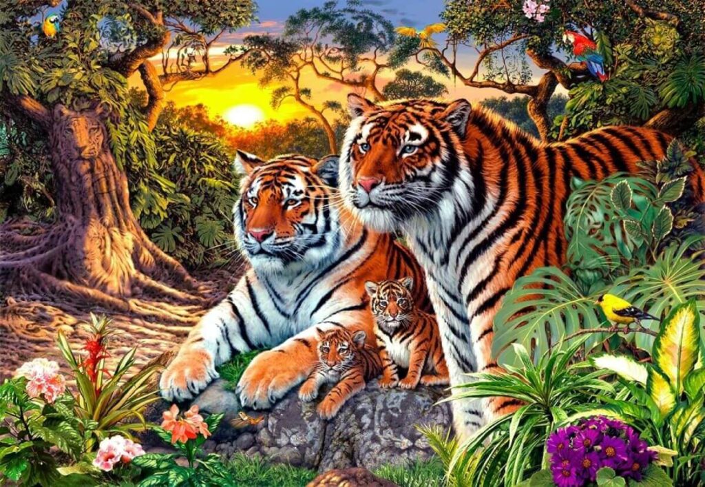 Family – Hidden Tigers