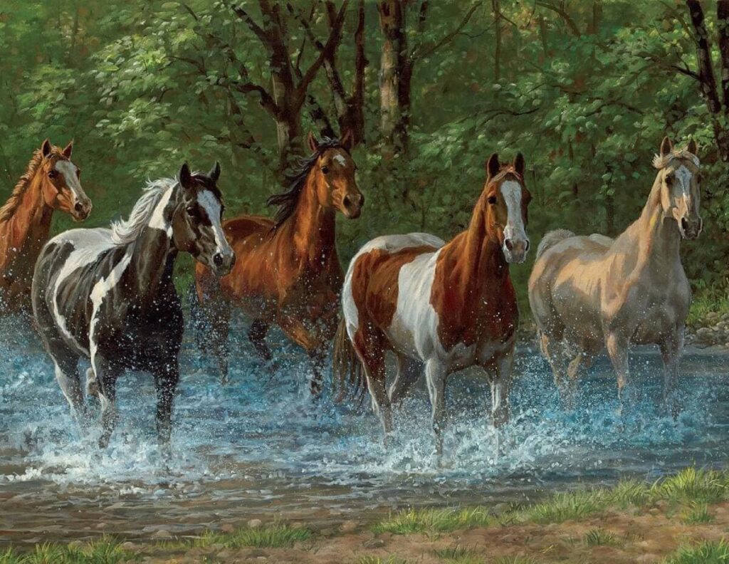 Horses At Summer Creek