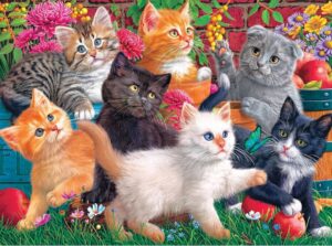 Kittens at Play