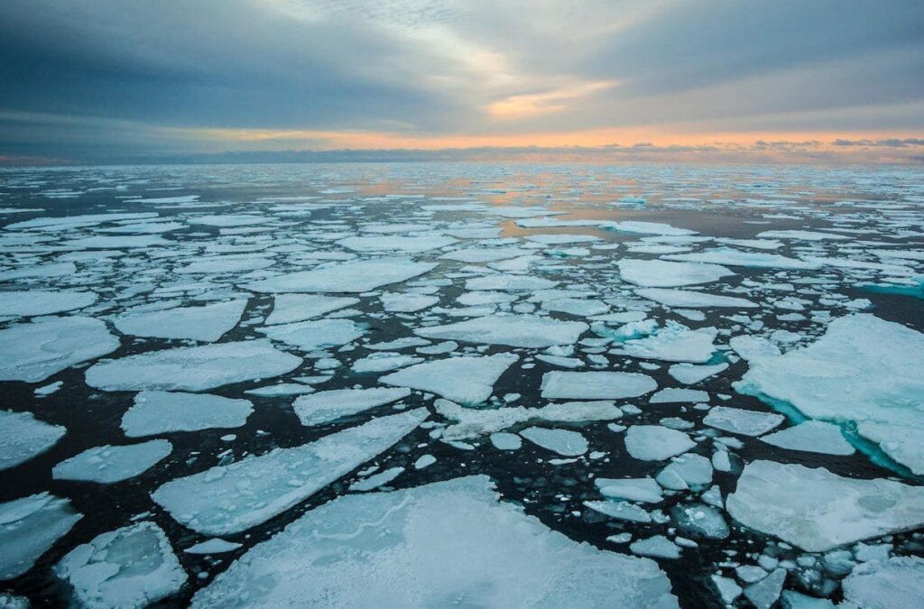 Arctic Sea Ice