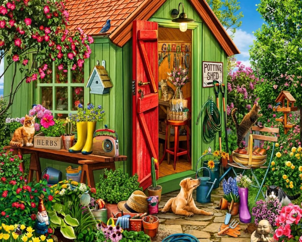 Colorful Flower, Potting Shed