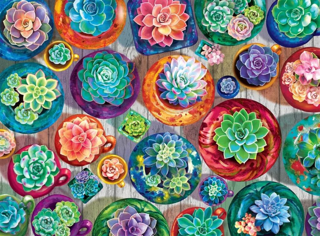 Colorful Succulent Gradient