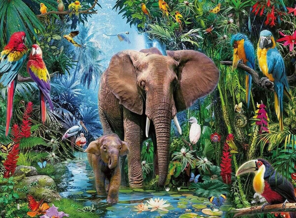 Elephant, Parrot in Rainforest