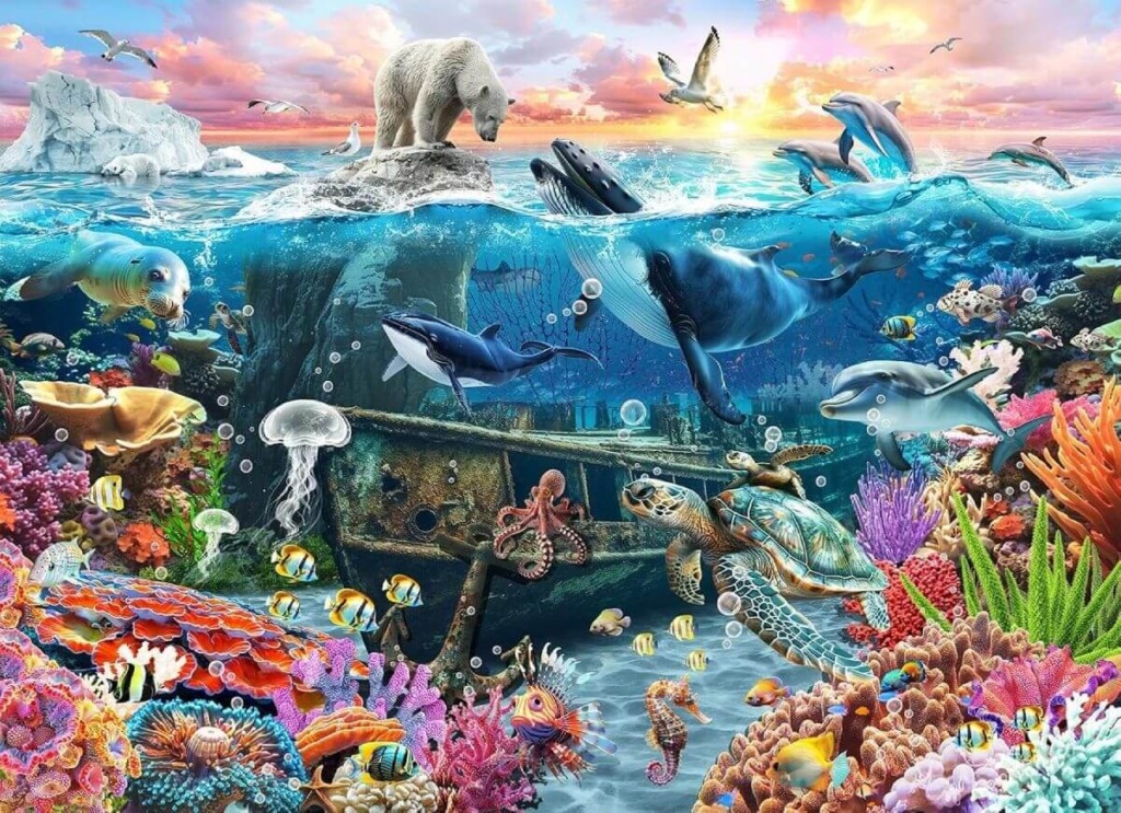 Marine Life Underwater Ocean