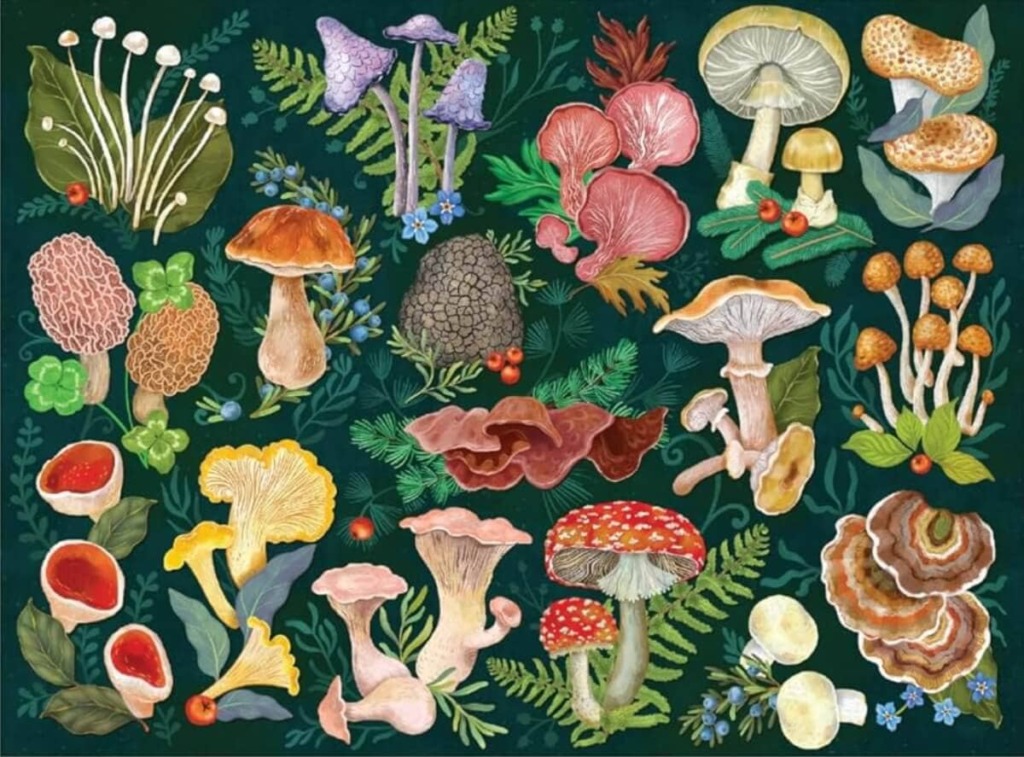 World of Mushrooms