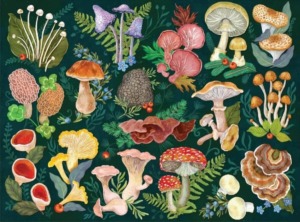 World of Mushrooms